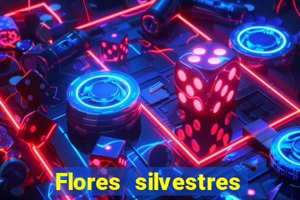 Flores silvestres brasileiras 25